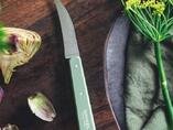 Nóż kuchenny do warzyw Opinel Vegetable Sauge 114